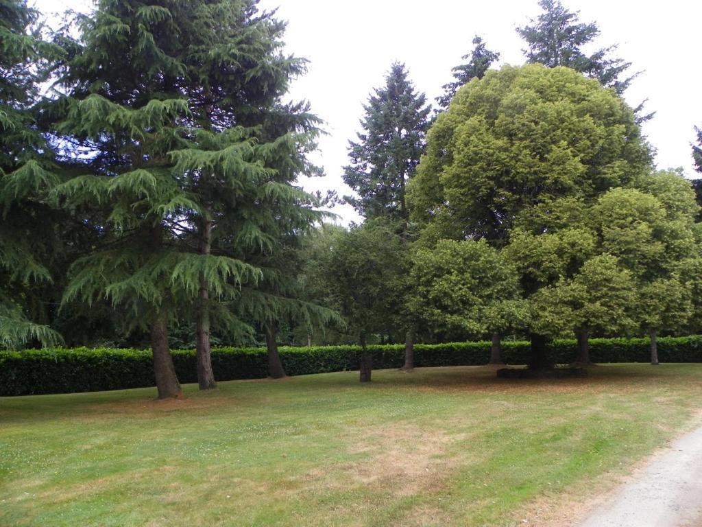 Manoir De Saint-Fiacre Bed and Breakfast Malansac Buitenkant foto
