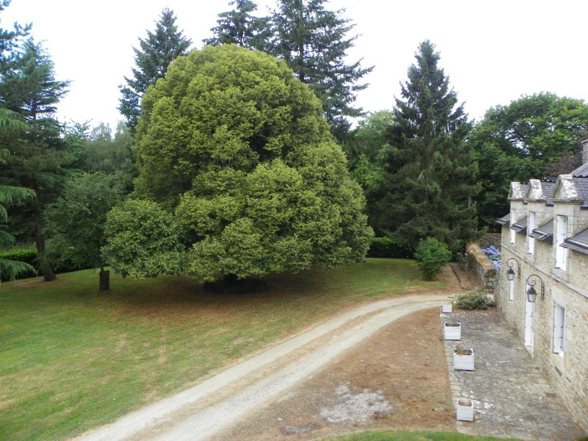 Manoir De Saint-Fiacre Bed and Breakfast Malansac Buitenkant foto